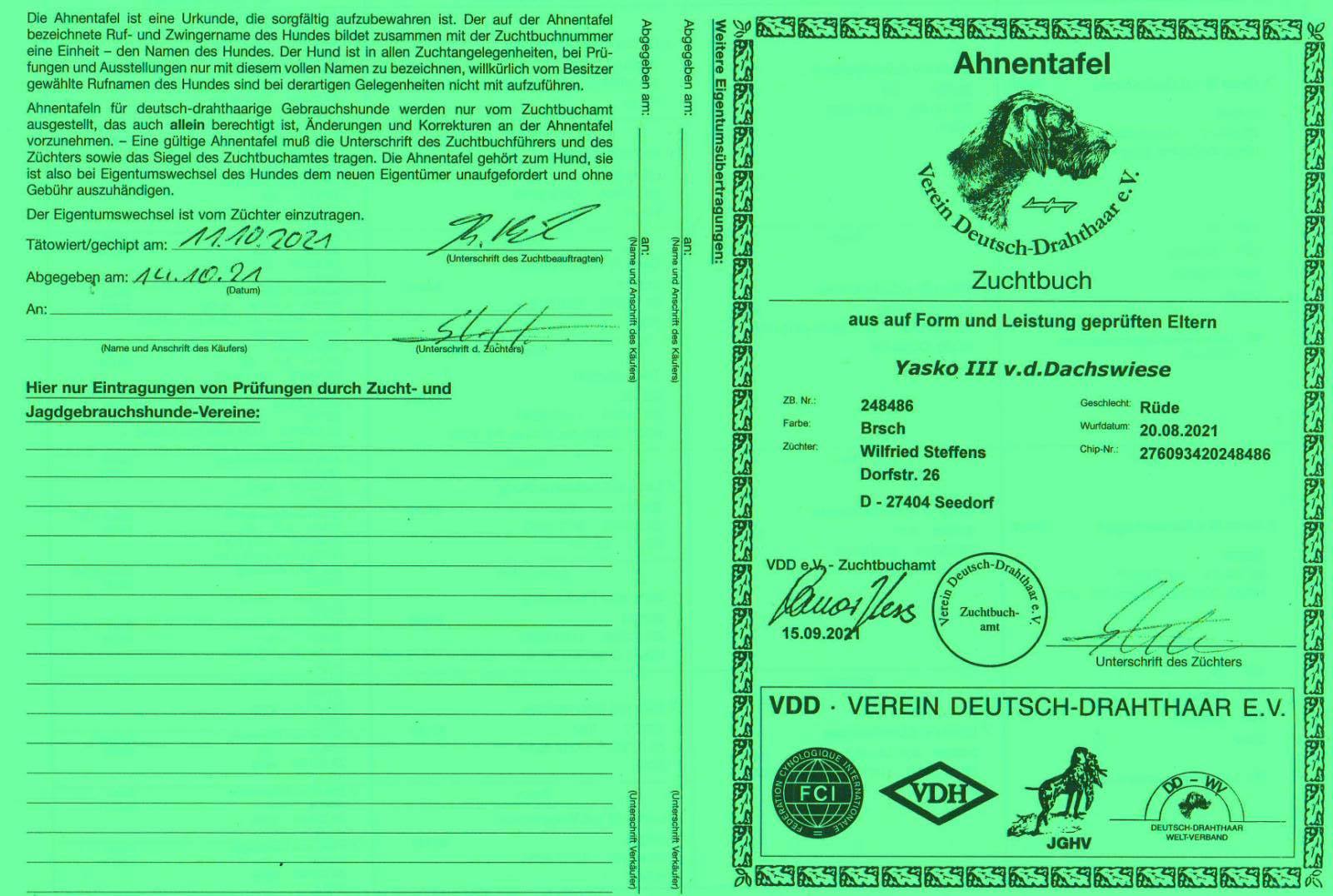 Yasko III v.d. Dachswiese