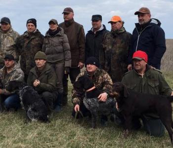 Підготовка молодих собак до ВВМ (VJP)