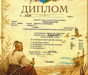 Титул Чемпіона