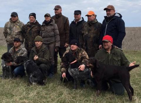 Підготовка молодих собак до ВВМ (VJP)