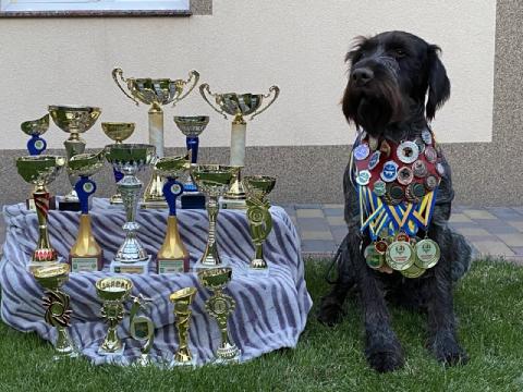 Титули Ektora vom Milageli.