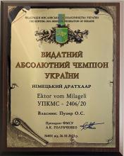 Ектор Чемпіон